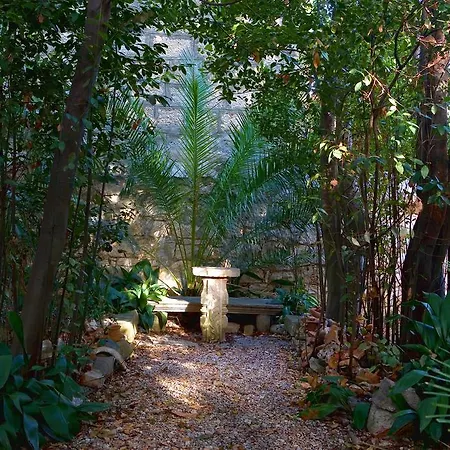 House & Garden By The Orebić